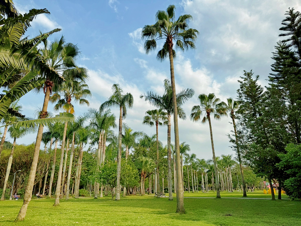 台北杜鵑花季,大安森林公園,免費景點,公園,兒童公園,台北市景點
