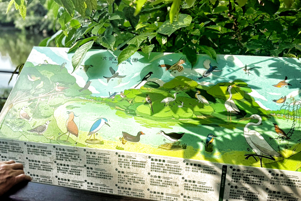 台北杜鵑花季,大安森林公園,免費景點,公園,兒童公園,台北市景點