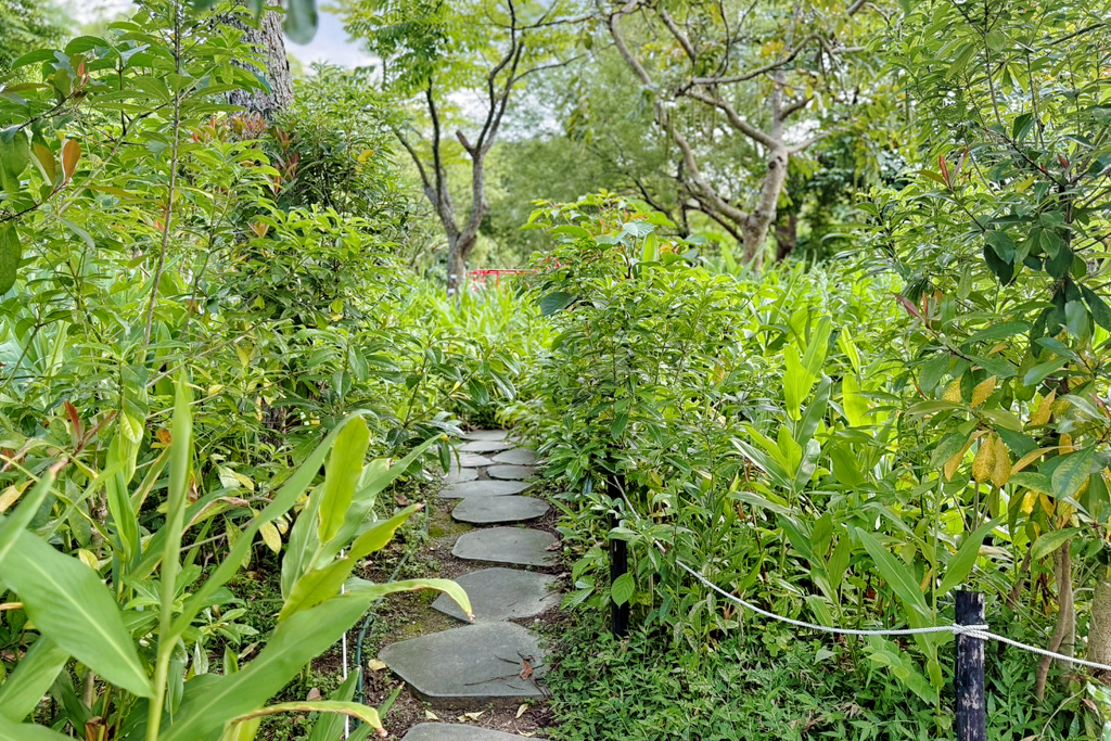 台北杜鵑花季,大安森林公園,免費景點,公園,兒童公園,台北市景點
