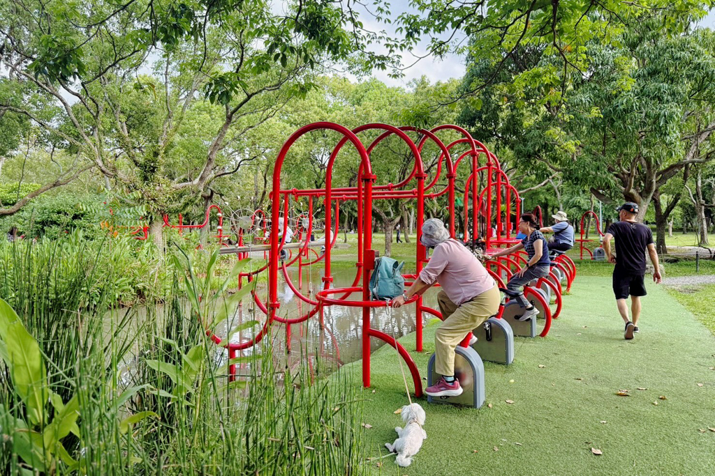 台北杜鵑花季,大安森林公園,免費景點,公園,兒童公園,台北市景點
