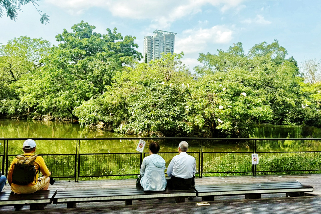 台北杜鵑花季,大安森林公園,免費景點,公園,兒童公園,台北市景點