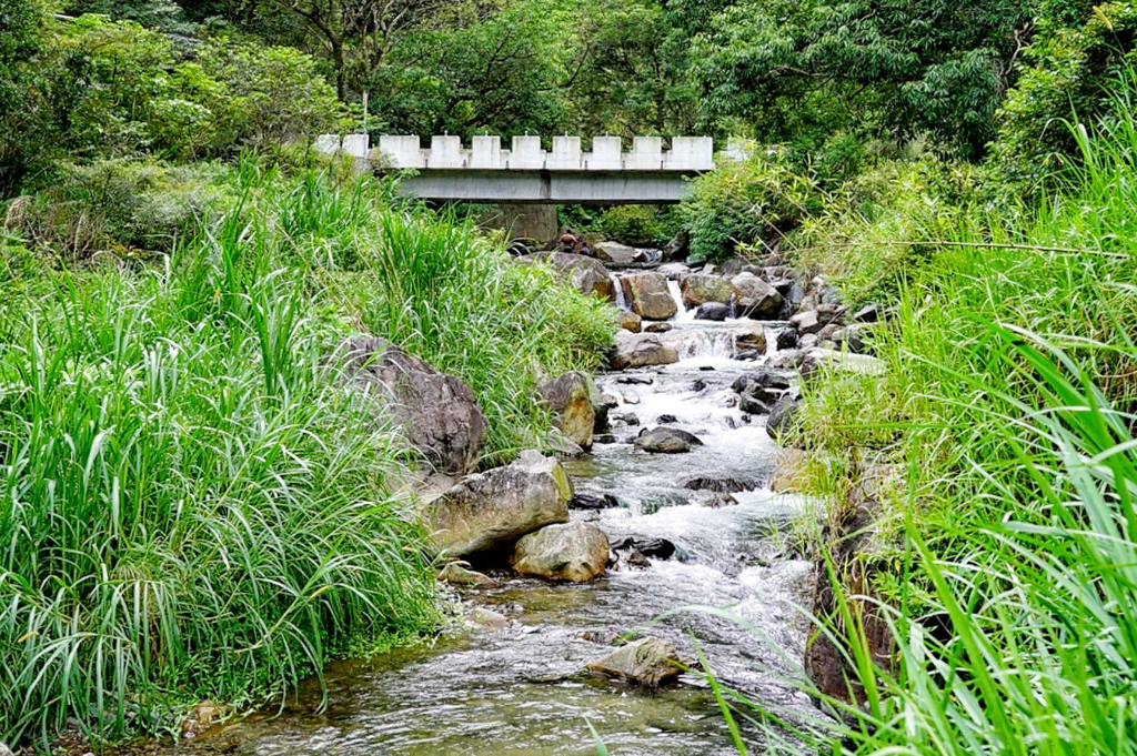 圳頭鴛鴦溪