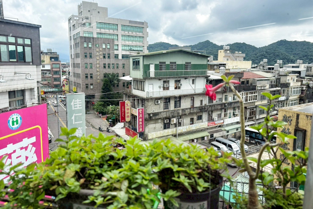 關西仙草巷