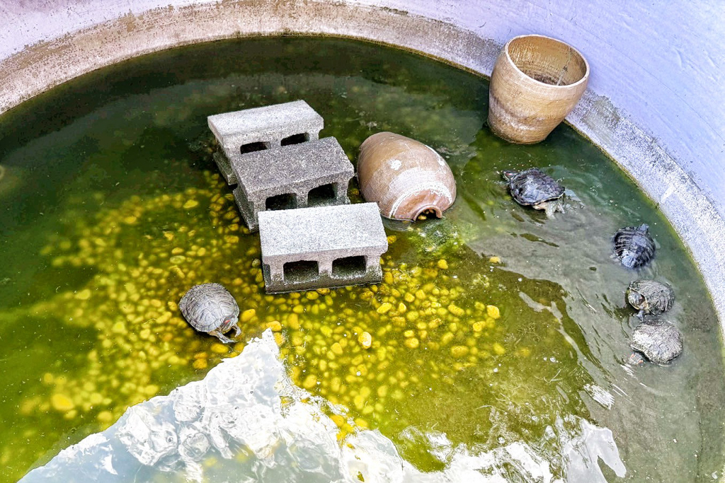 可達羊場