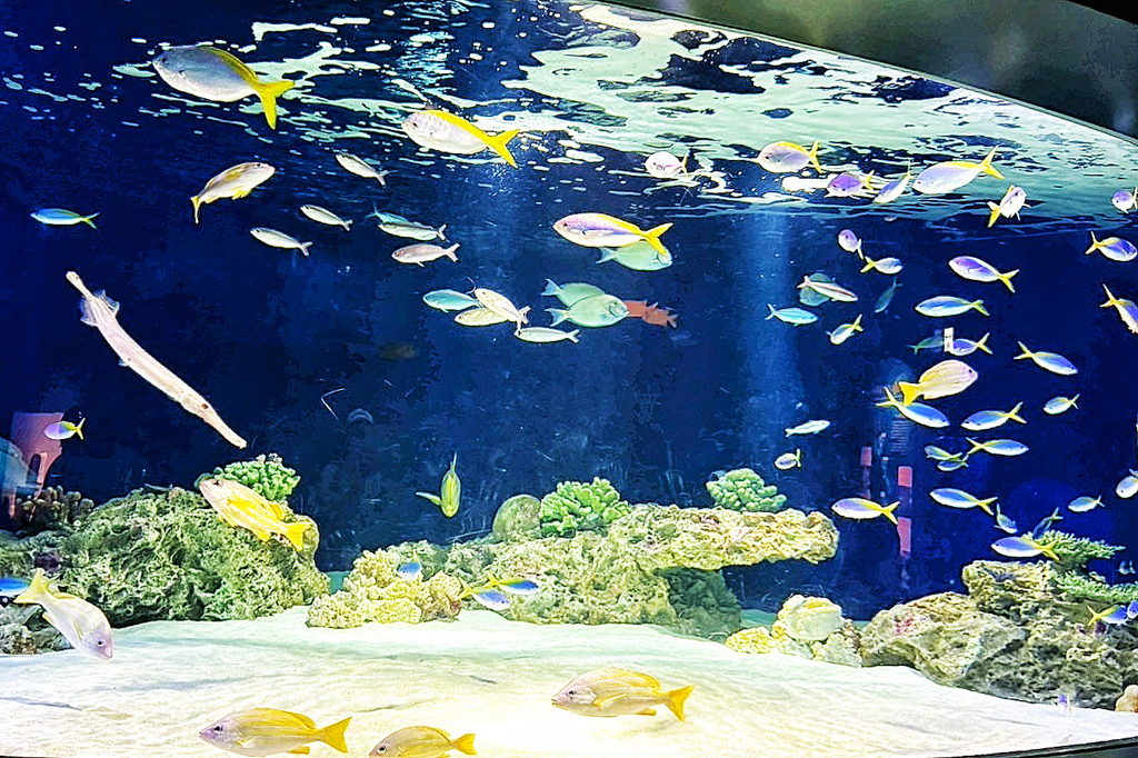 海洋世界海之中道