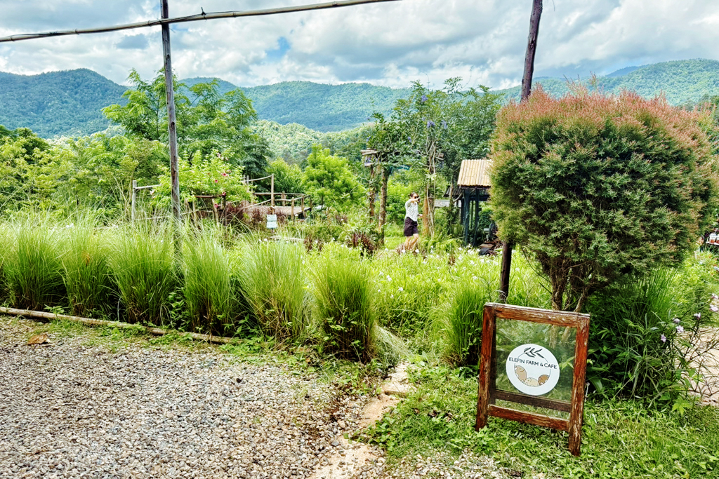 Elefin Farm & Cafe