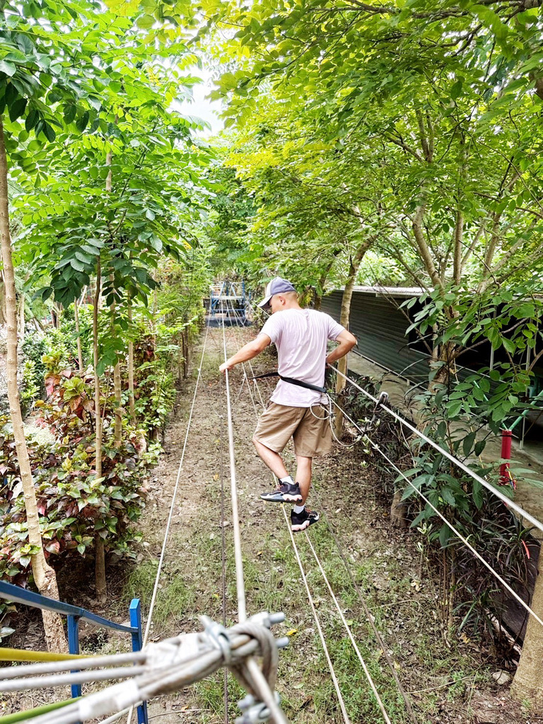 野趣森林