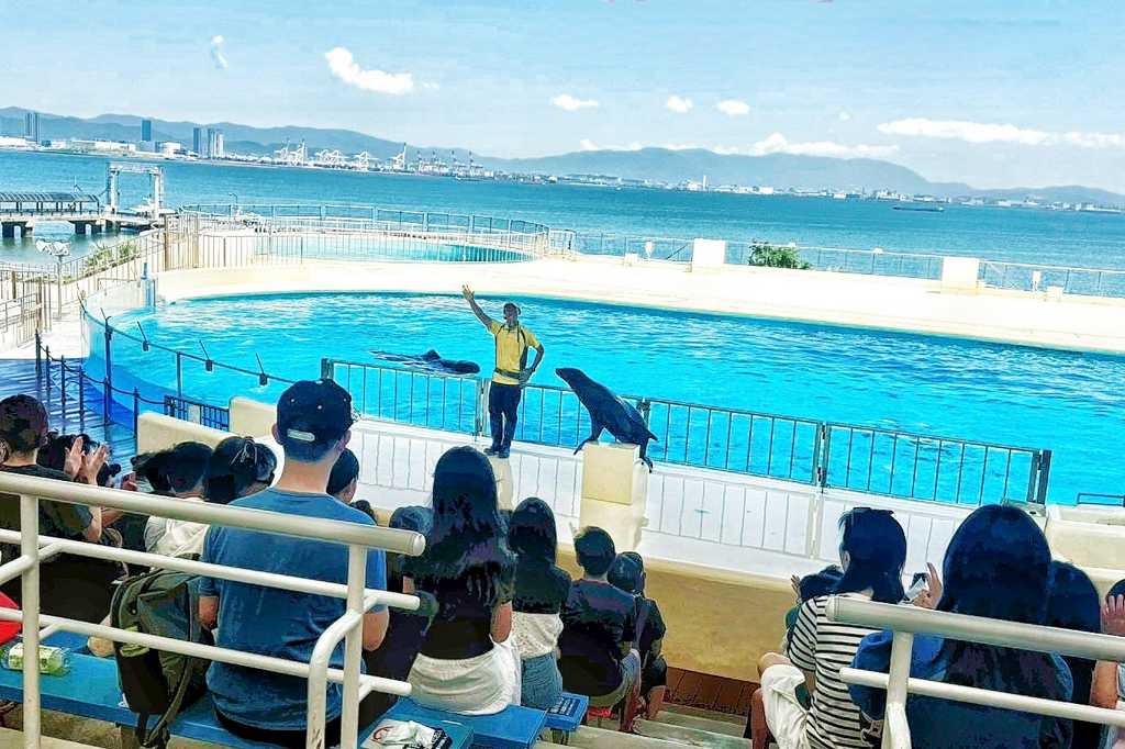 海洋世界海之中道