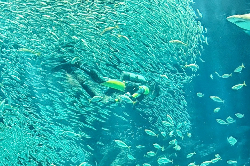 海洋世界海之中道