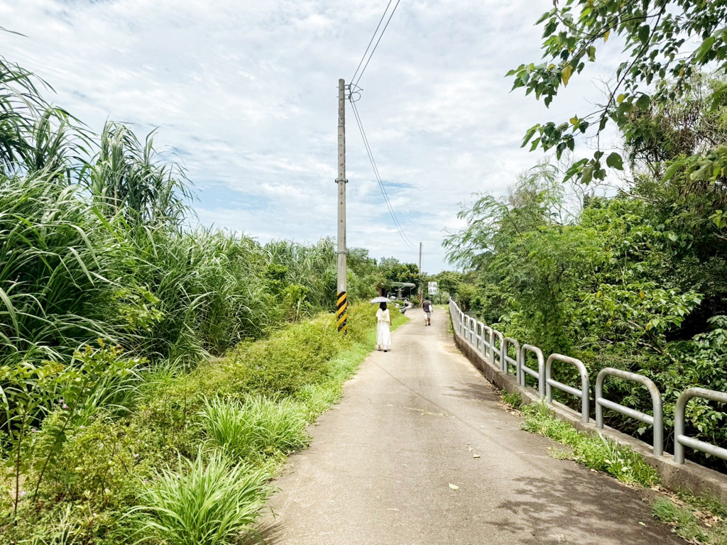 野趣森林
