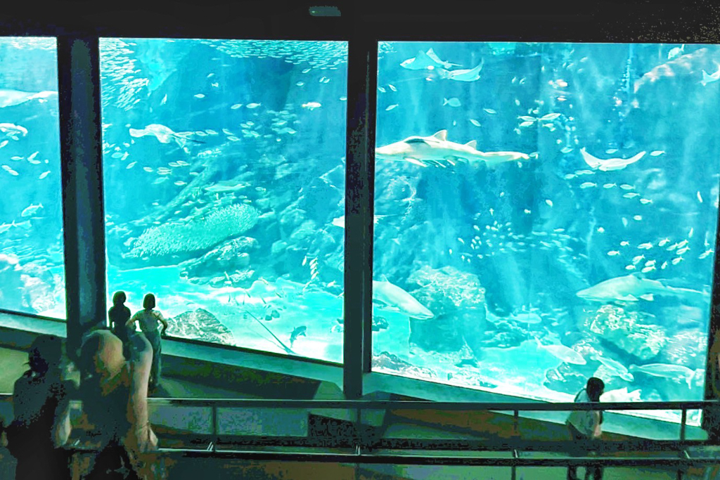 海洋世界海之中道