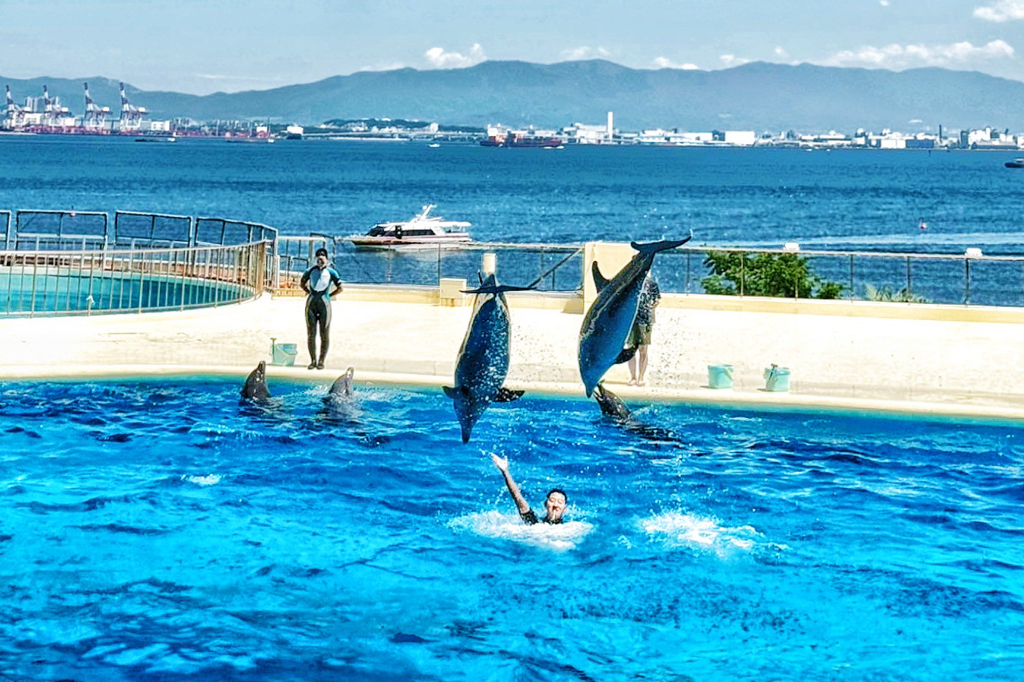 海洋世界海之中道