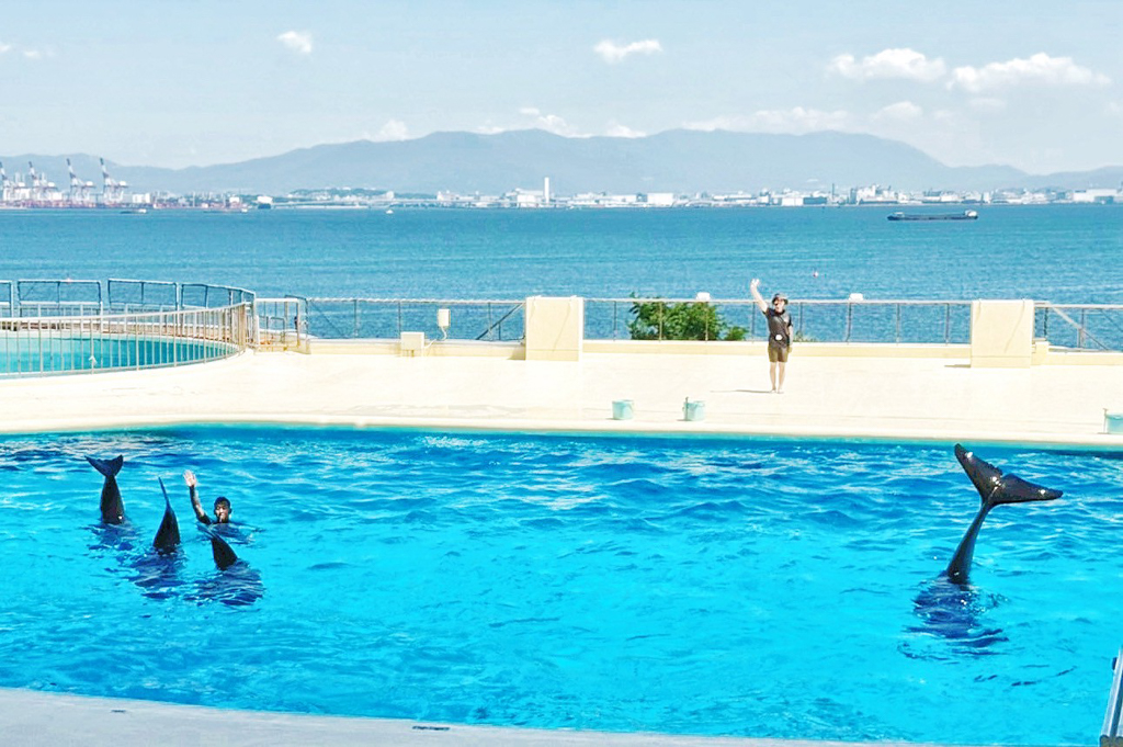 海洋世界海之中道