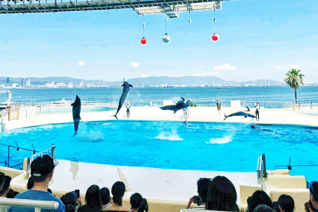 海洋世界海之中道