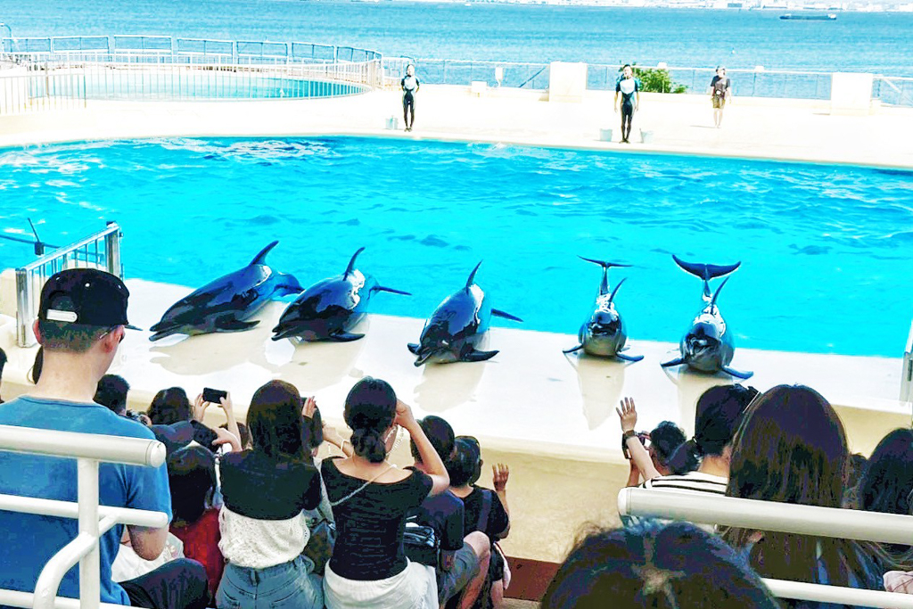 海洋世界海之中道
