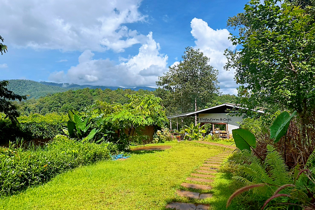 Elefin Farm & Cafe