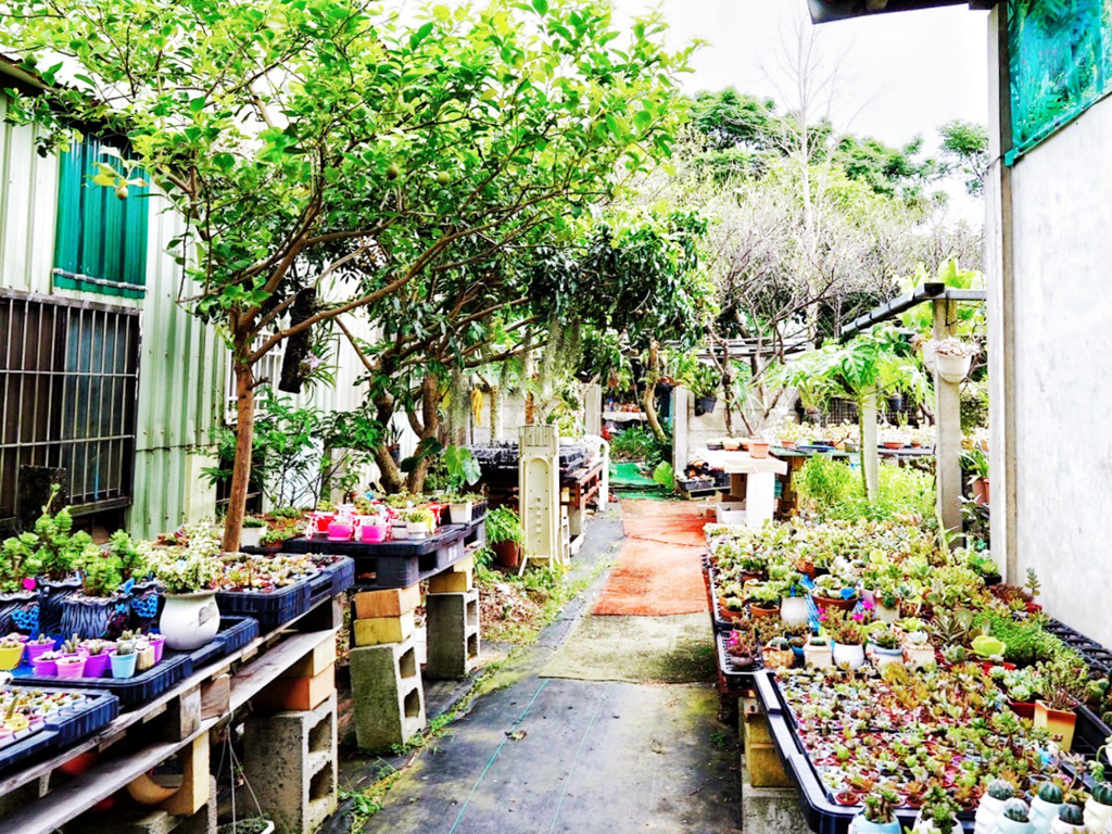 亞細亞池畔餐廳 