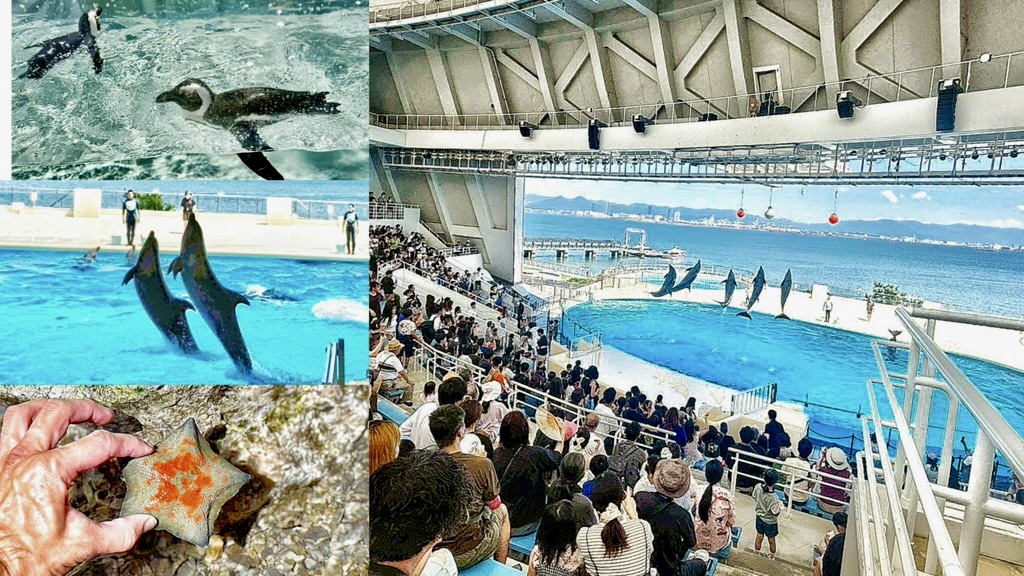 海洋世界,海洋世界海之中道,福岡好玩,福岡景點,福岡親子景點 @艾瑪  吃喝玩樂札記