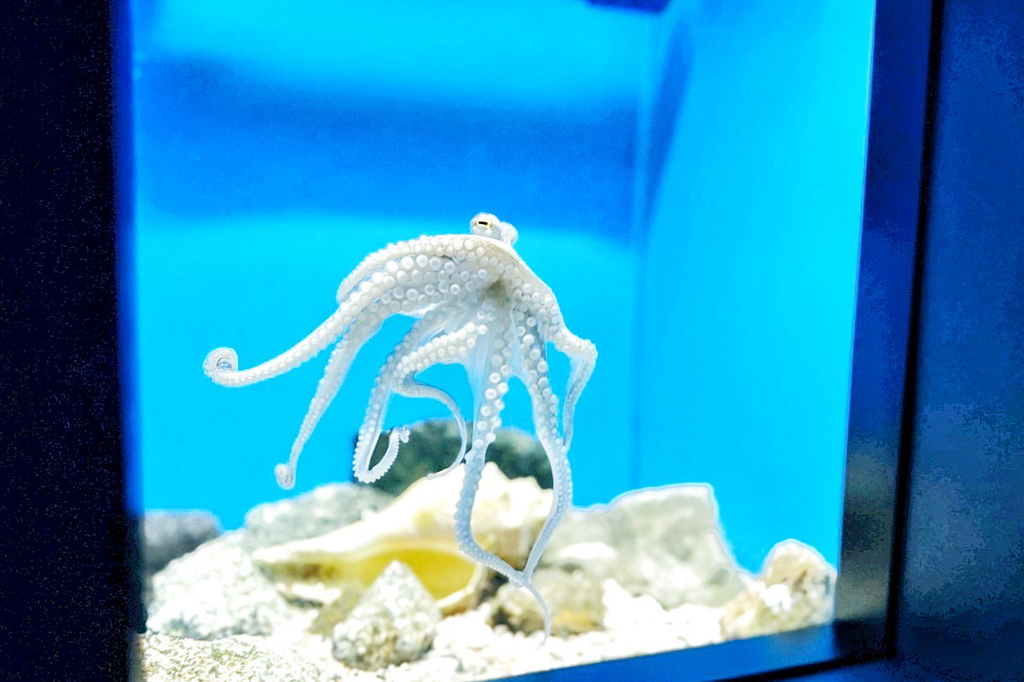 海洋世界海之中道