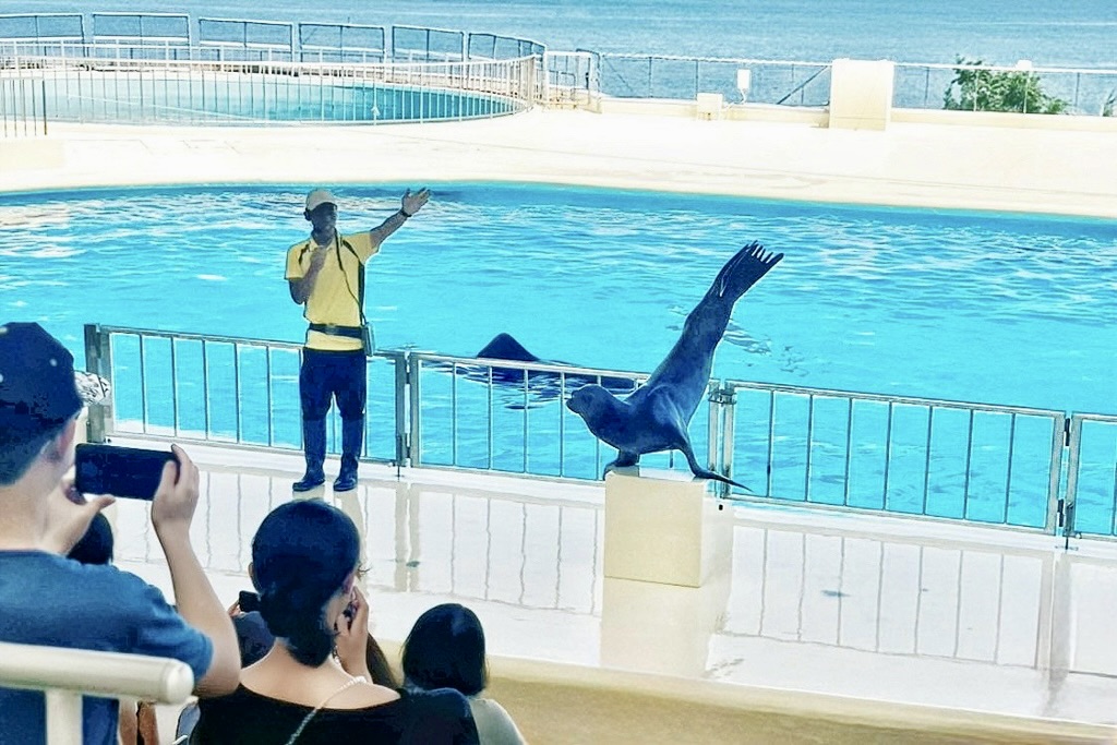 海洋世界海之中道