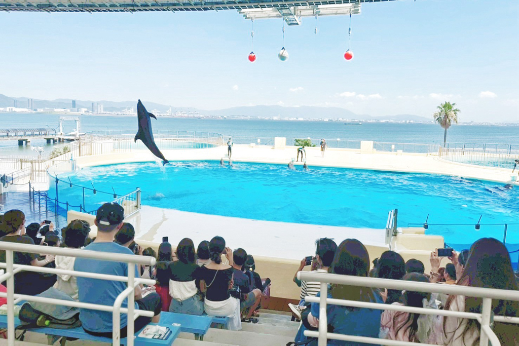 海洋世界海之中道