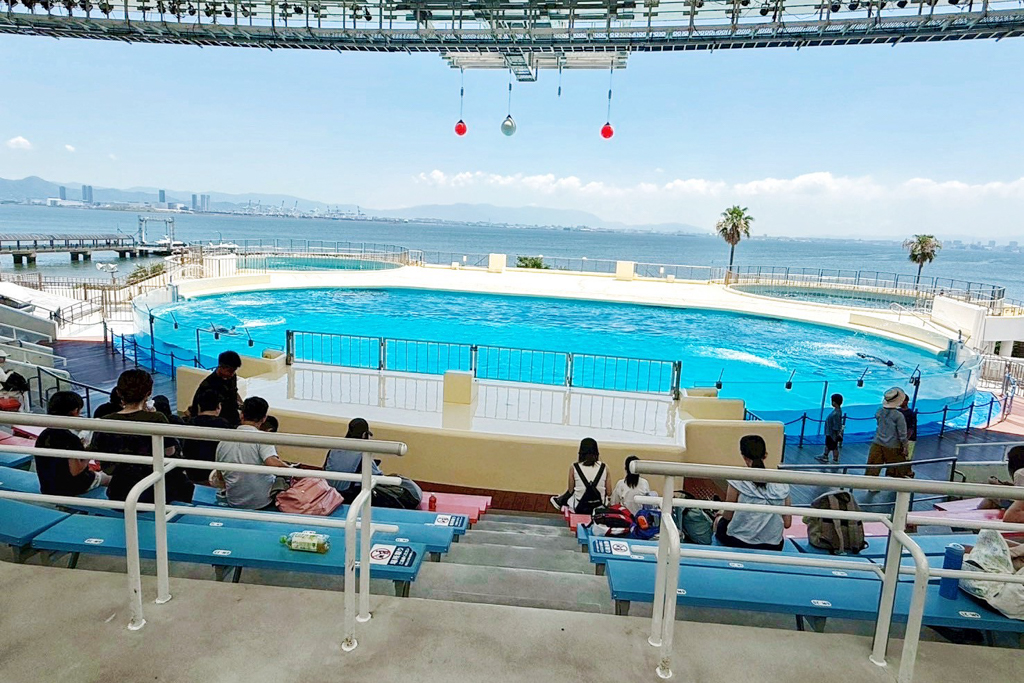 海洋世界海之中道