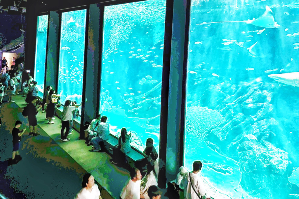 海洋世界海之中道