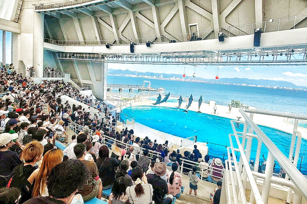 海洋世界海之中道