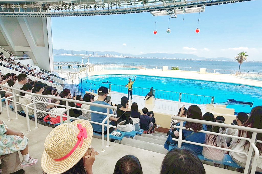 海洋世界海之中道