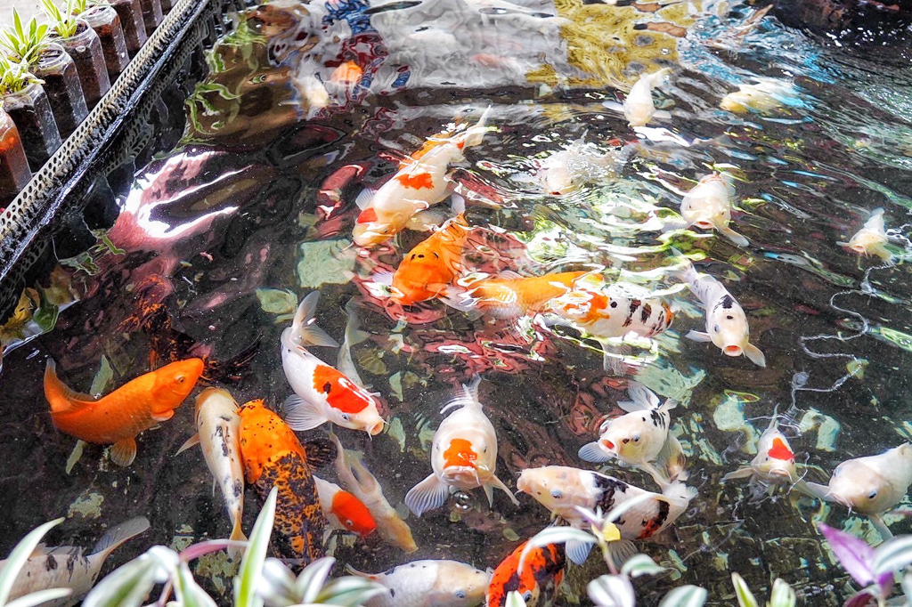 亞細亞池畔餐廳 