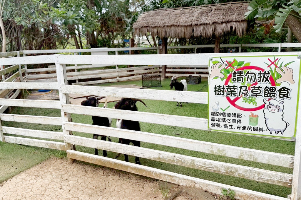 青林農場