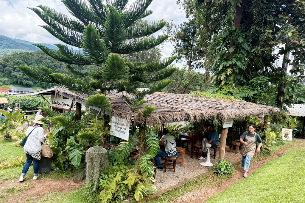 Elefin Farm & Cafe