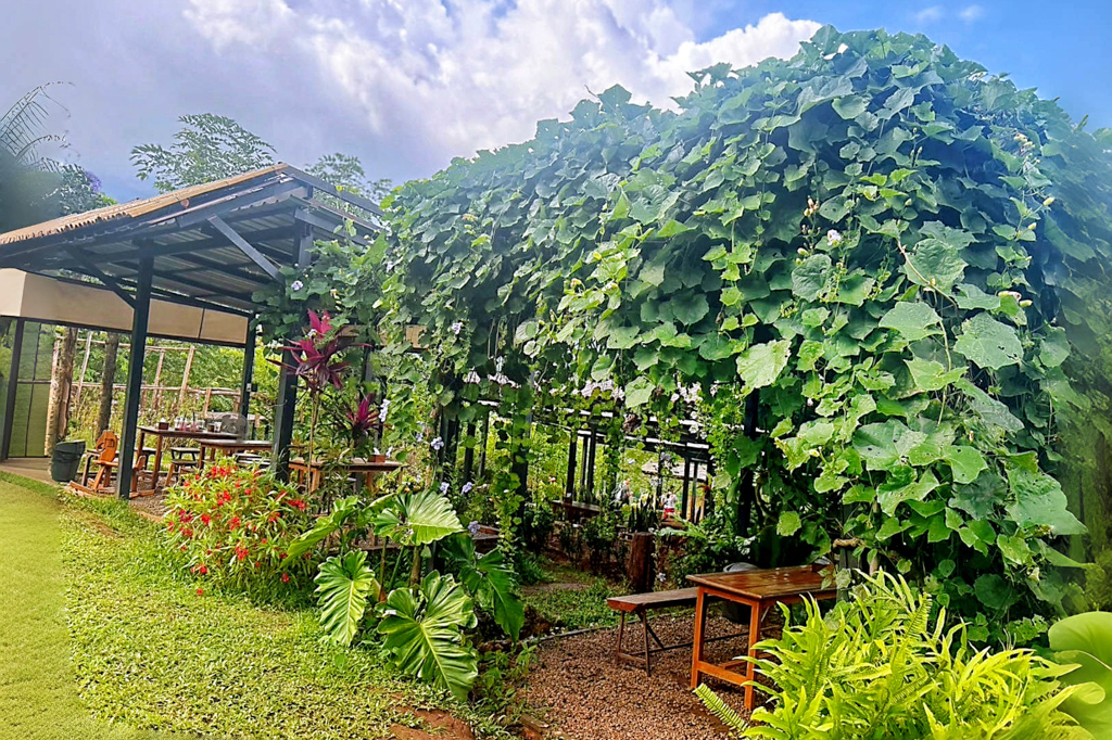 Elefin Farm & Cafe,大象咖啡館,清邁下午茶,清邁美食,清邁小吃,清邁吃喝玩樂,清邁自由行,清邁咖啡館,清邁咖啡館,冰沙