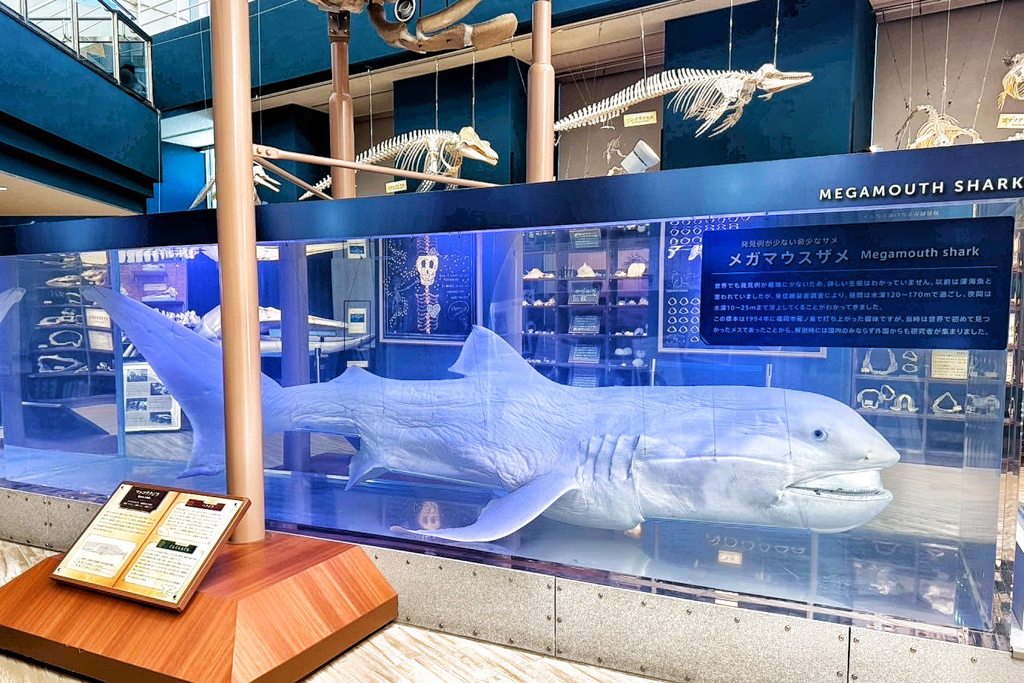 海洋世界海之中道