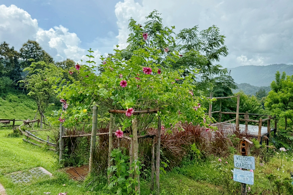 Elefin Farm & Cafe