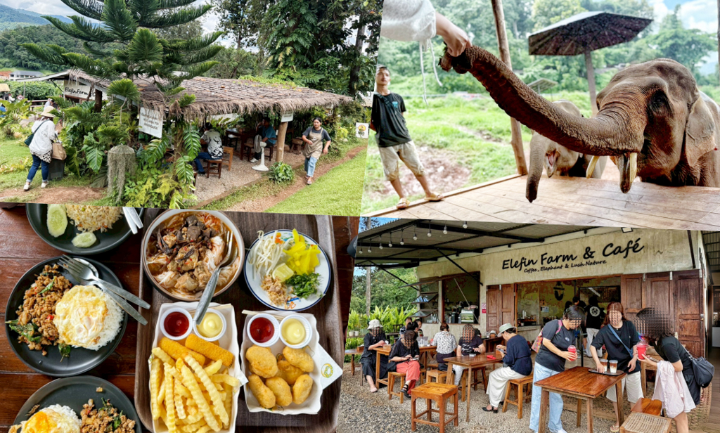Elefin Farm & Cafe,大象咖啡館,清邁下午茶,清邁美食,清邁小吃,清邁吃喝玩樂,清邁自由行,清邁咖啡館,清邁咖啡館,冰沙