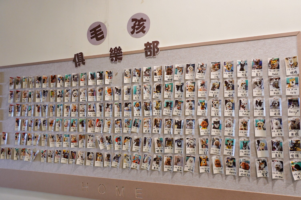 拾青春Legumes