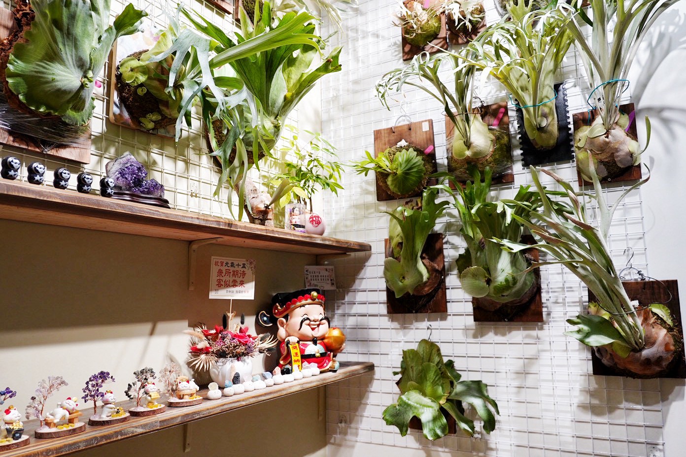 元氣十盅/台G店創始店