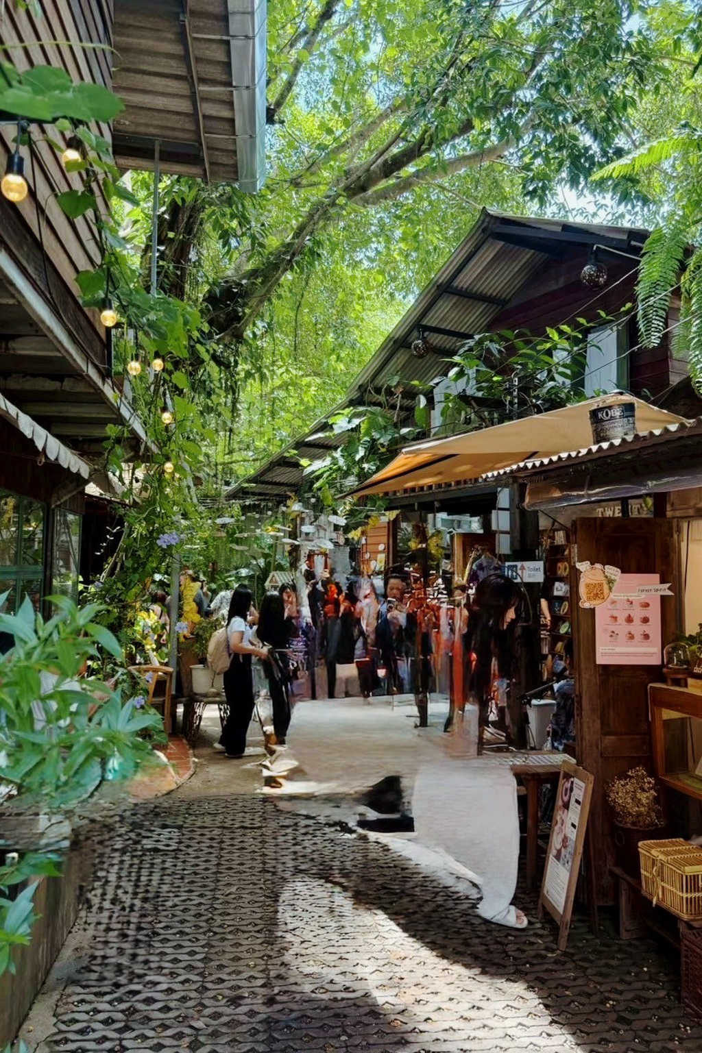 Baan Kang Wat 