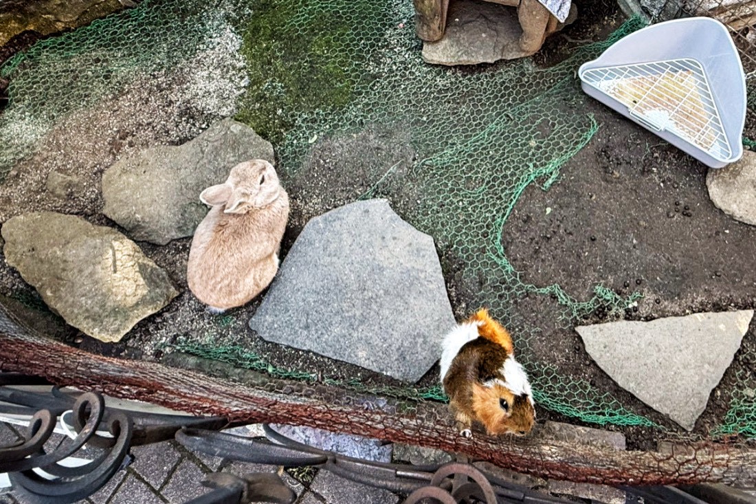 由布院,湯布院,湯布院花卉村,由布院伴手禮,由布院美食攻略,可樂餅,咖哩麵包,日本美食,日本小吃,金鱗湖 由布院,湯布院,湯布院花卉村,由布院伴手禮,由布院美食攻略,可樂餅,咖哩麵包,日本美食,日本小吃,金鱗湖