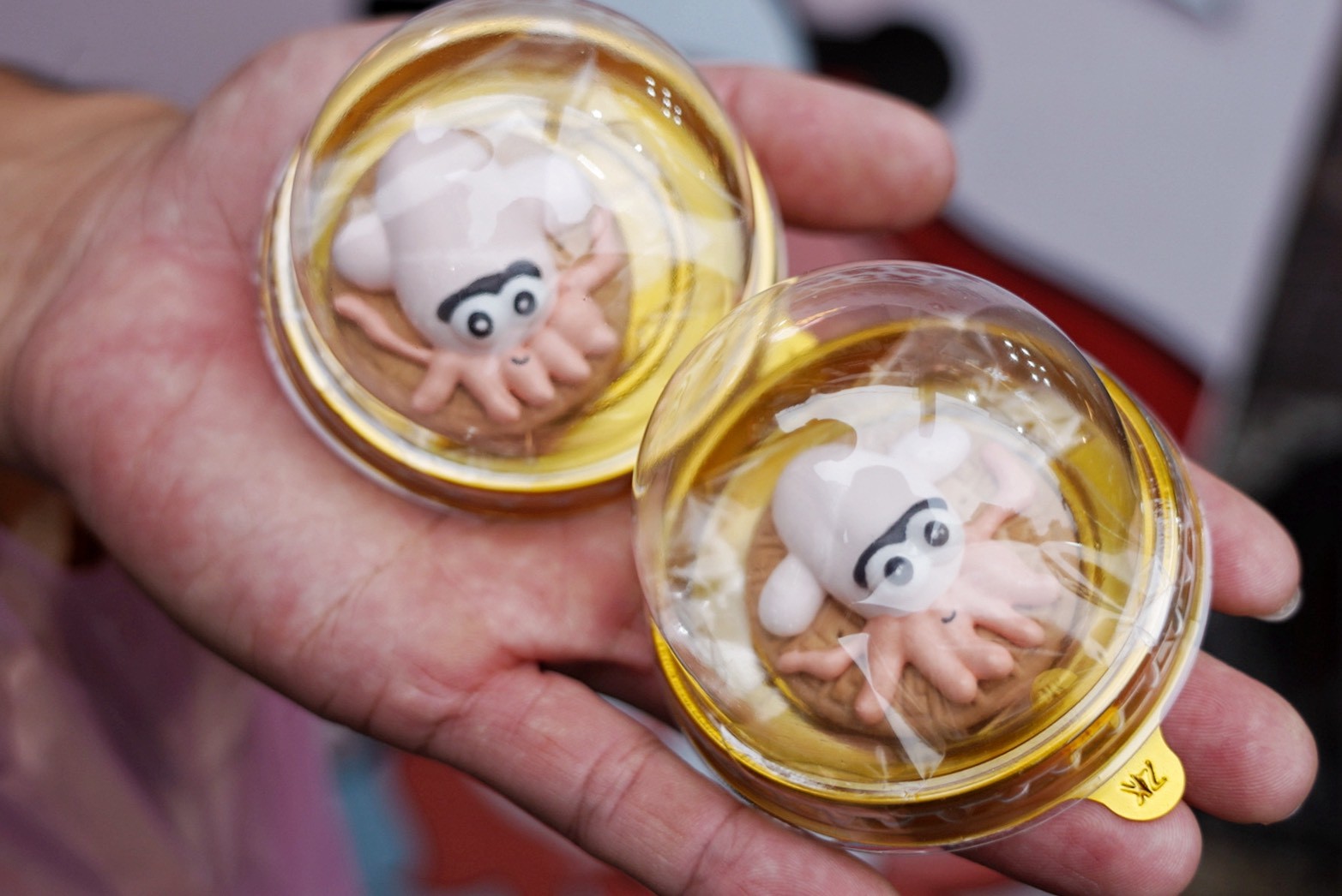 魷布院鮮烤魷魚