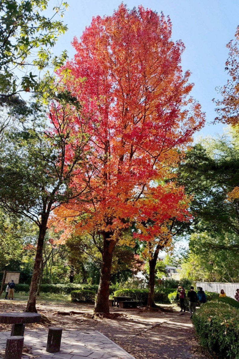 由布院
