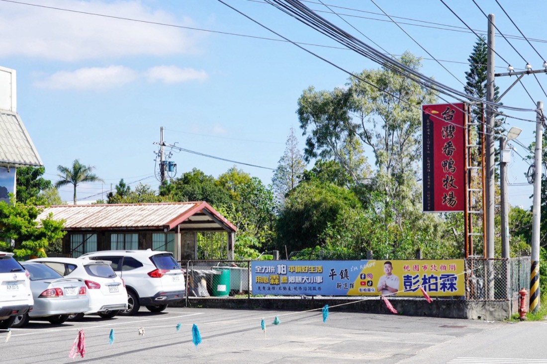 臺灣番鴨牧場大江店