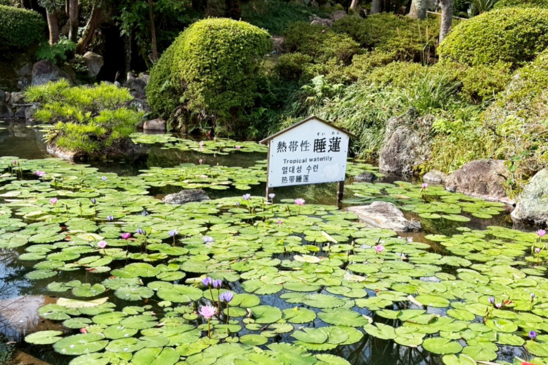 海地獄