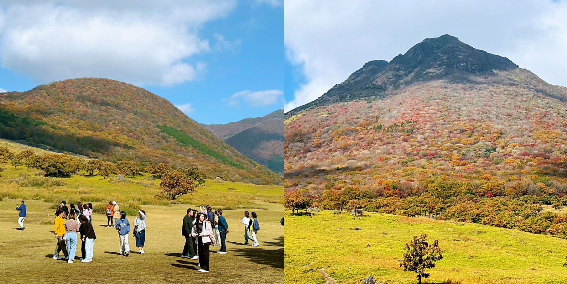 由布院,湯布院,湯布院花卉村,由布院伴手禮,由布院美食攻略,可樂餅,咖哩麵包,日本美食,日本小吃,金鱗湖 由布院,湯布院,湯布院花卉村,由布院伴手禮,由布院美食攻略,可樂餅,咖哩麵包,日本美食,日本小吃,金鱗湖
