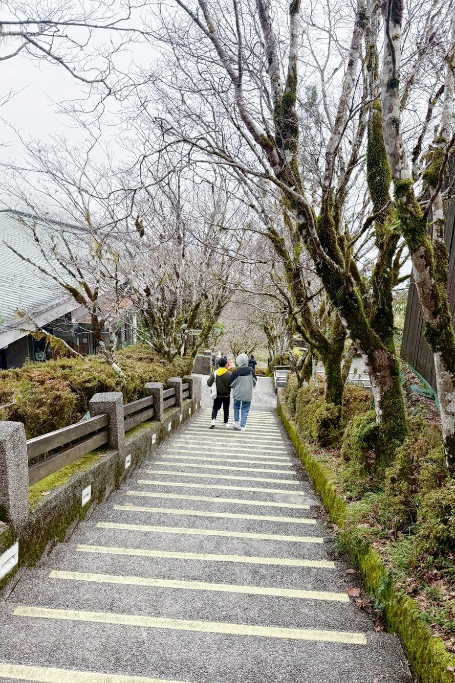 雲海咖啡館
