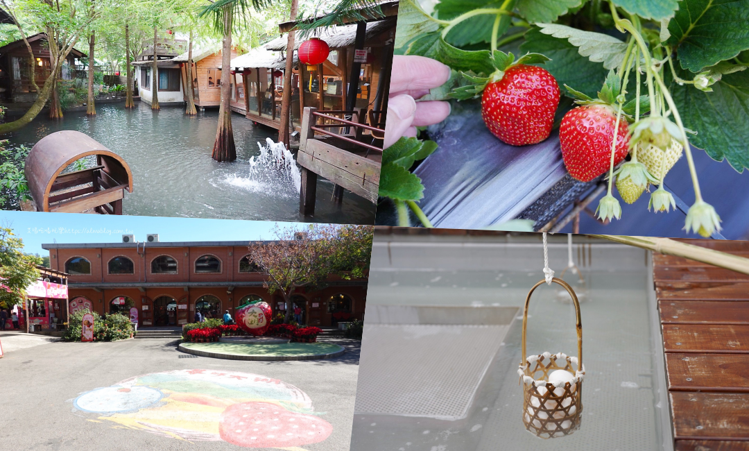 苗栗大湖行程,苗栗行程,大湖好玩,大湖景點,大湖懶人包,大湖採草莓,大湖美食, 大湖酒,石湯溫泉,桂梅小吃,薑麻園,鐘鼎山林,卓也小屋,石湯溫泉,洗水坑豆腐街,泰雅原住民文化產業園區