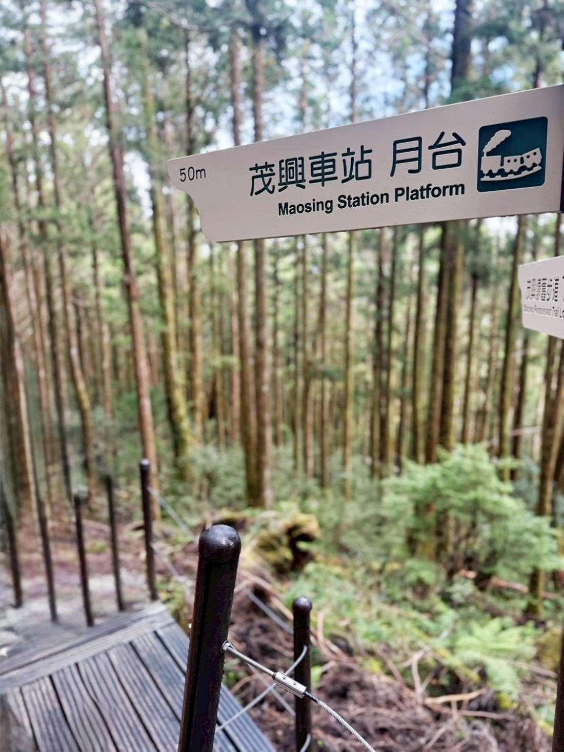 太平山蹦蹦車
