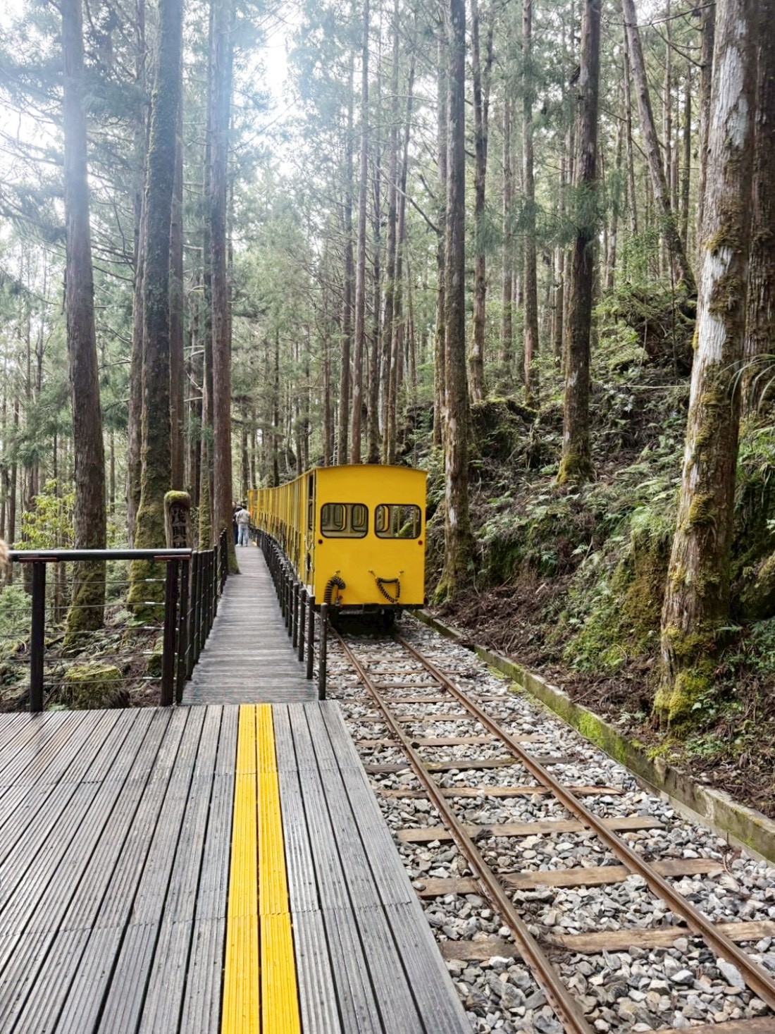 太平山蹦蹦車