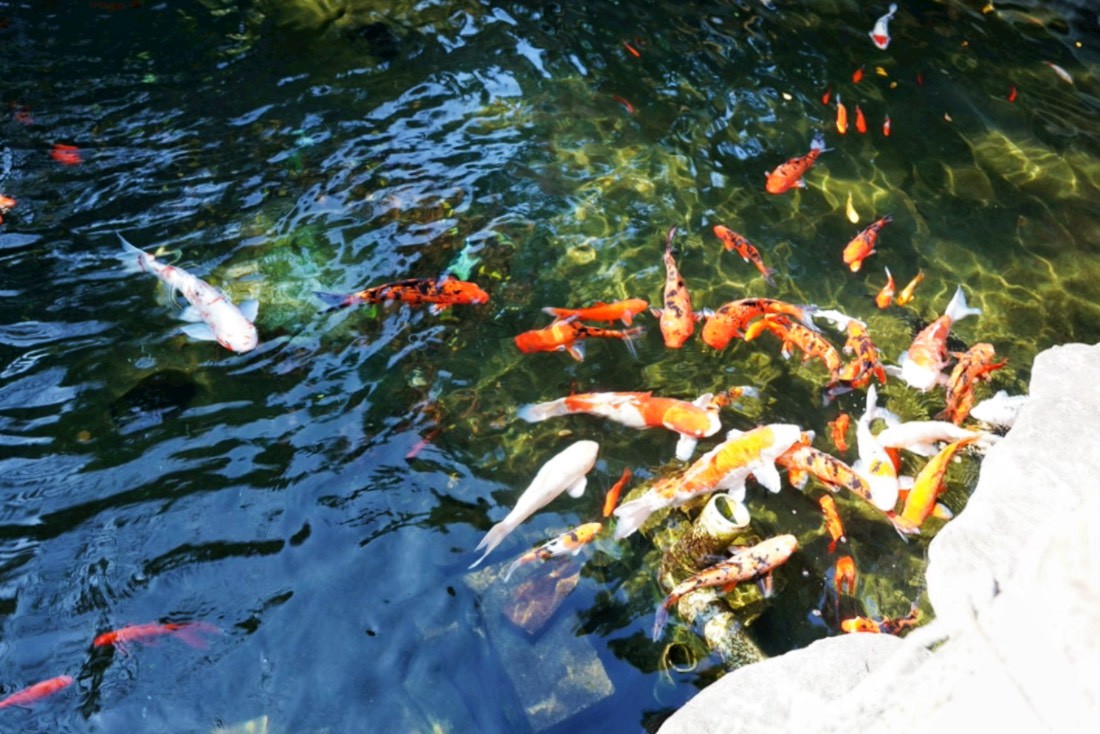 大鼎庭園餐廳